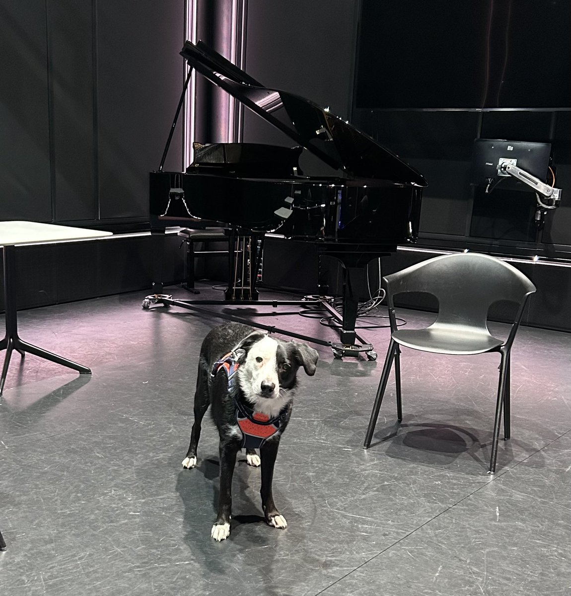 #MeetMurray (@karenbrackenri4) on Twitter photo #MeetMurray <a href="/rncmlive/">Royal Northern College of Music</a> for <a href="/OfficialUoM/">The University of Manchester</a> playing all the right notes on this occasion 🎶 #MeetMurray <a href="/rncmlive/">Royal Northern College of Music</a> for <a href="/OfficialUoM/">The University of Manchester</a> playing all the right notes on this occasion 🎶
