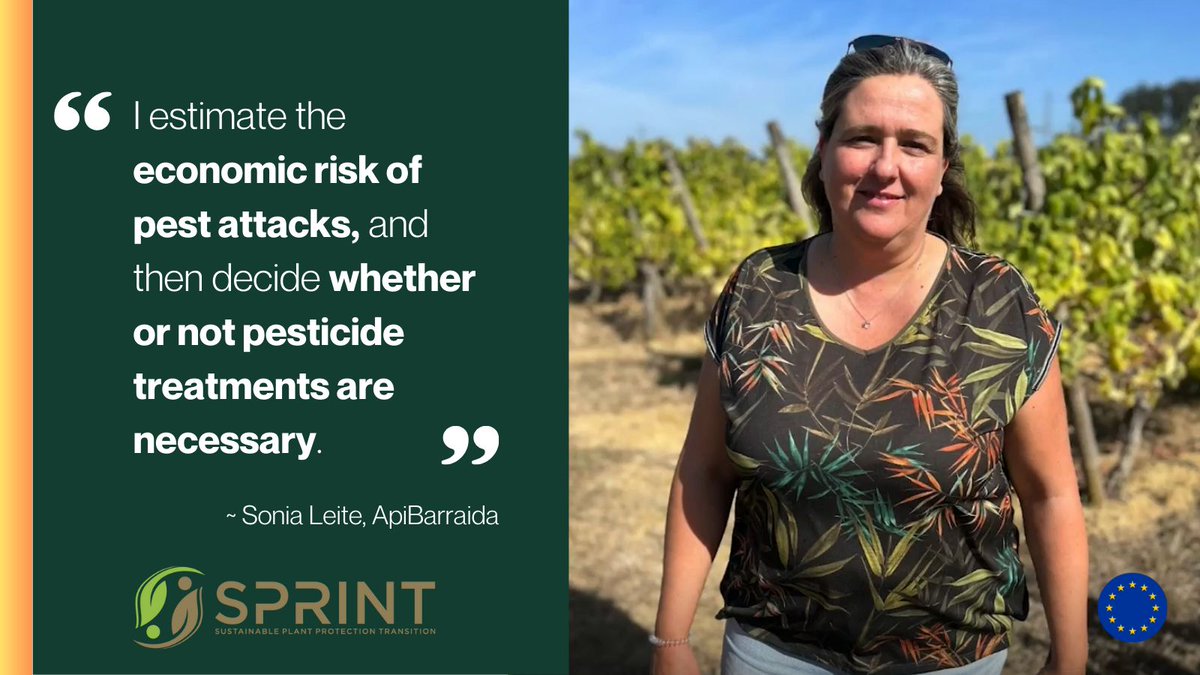 🍇 Supporting farmers in their move towards sustainable plant protection is a gradual process - but it can be done.

Watch our new video to learn how Sonia Leite of ApiBarraida helps Portuguese winegrowers avoid #pesticides "by as much as possible"

📽️ buff.ly/42Tufj7