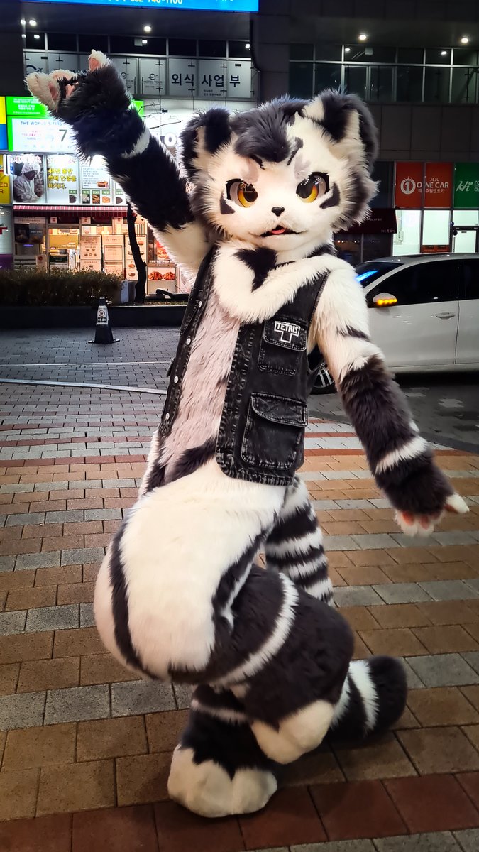 Slibiniukas's tweet image. Memories from #FurstClass 2024 in Korea ❤️
📷：me
#furry #fursuit #Gintan #福瑞 #兽装 #银碳 #银碳Gintan
