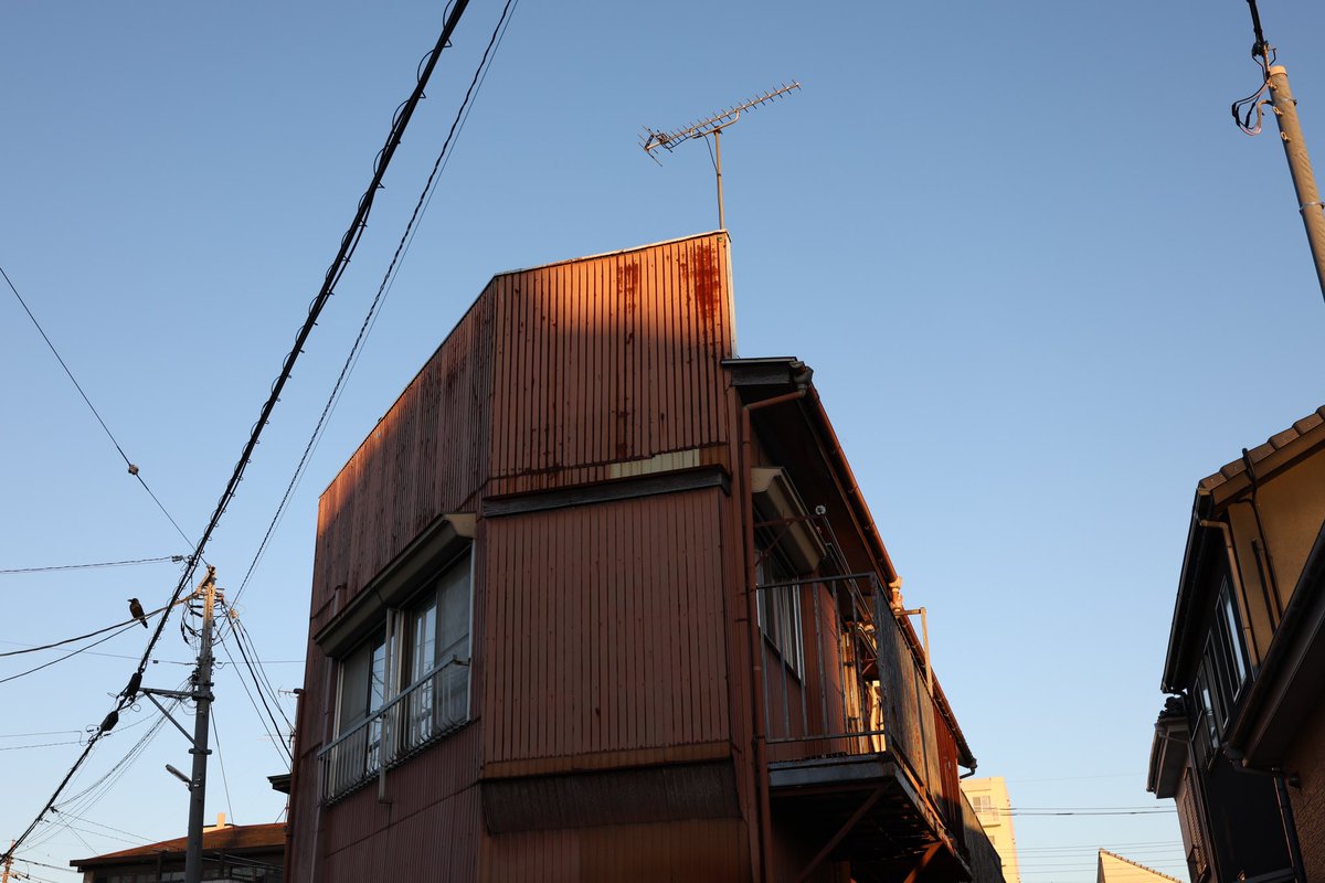六 tweet media