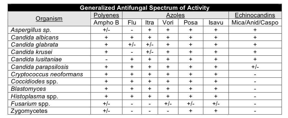 LydiaFructuoso's tweet photo. Hello @IDstewardship, may I kindly request your permission to use your summary table on the antifungal activity spectrum in my research? I will properly cite the source. How would you prefer me to cite it? Thank you!" https://t.co/2oCyq5Vjv4