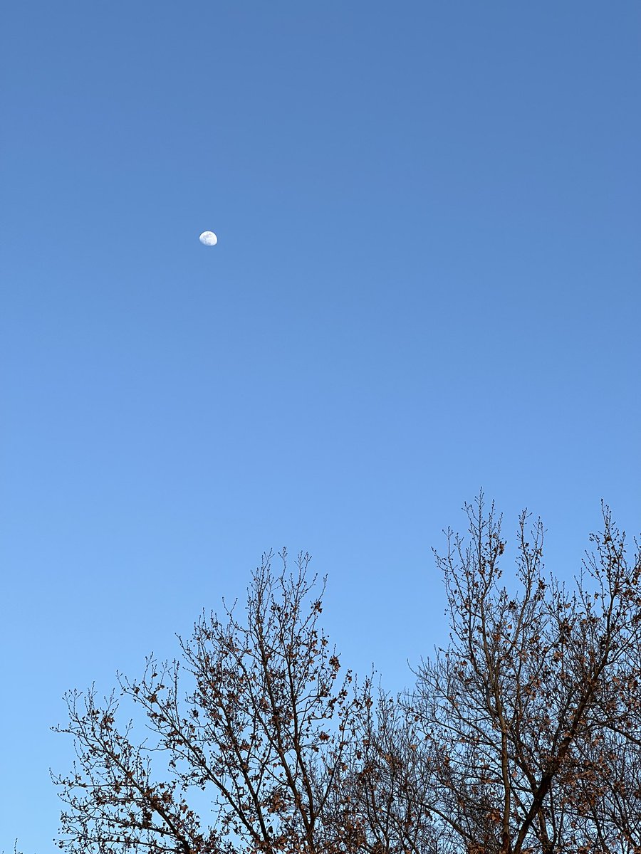 appiah's tweet image. 