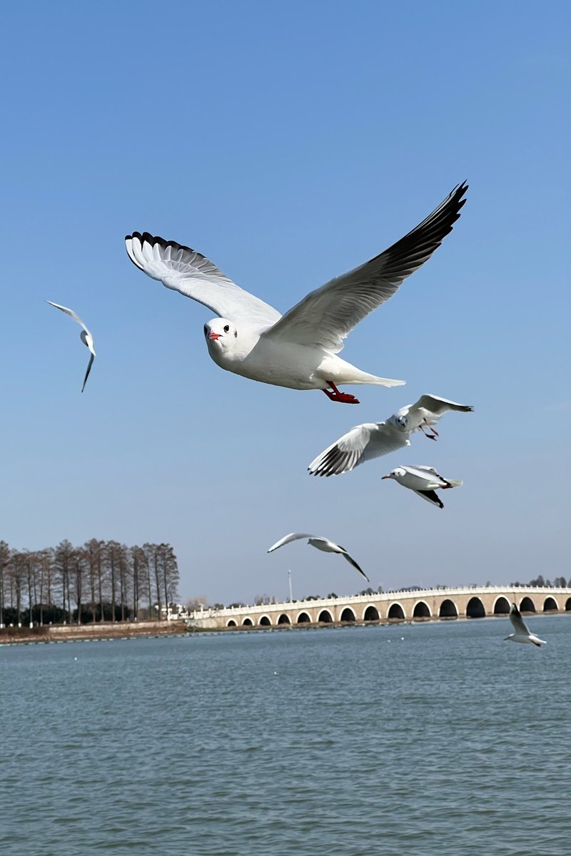 appiah's tweet image. 