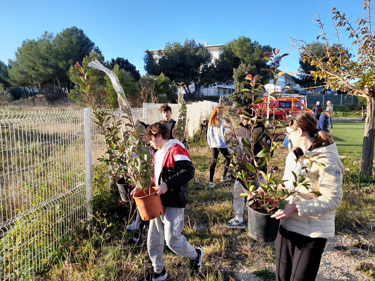 Pompiers_13's tweet photo. #VieDuCorps

3️⃣0️⃣ arbustes et 2️⃣ oliviers ont été plantés dernièrement au CIS @SaussetlesPins0 par les élèves des cadets de la @SecCivileFrance du Collège Matraja ! Une action citoyenne et engagée en faveur de l’environnement 🌱

➡️ https://t.co/8A7hWdAbVv https://t.co/sOOlER1ufY