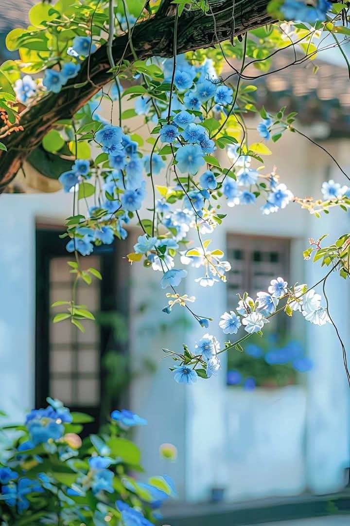 𝙈𝘼𝙇𝙄𝙆 𝙅𝙄💫💙 (@01mllik) on Twitter photo #ملک_پرموشن
Follow⬇️
<a href="/1arshd/">𝗔𝗿𝘀𝗵𝗱 𝗠𝗹𝗶𝗸💫👑</a>
<a href="/1Arshii/">𝓐𝓻𝓼𝓱𝓲 𝓜𝓵𝓲𝓴 ☪ツ</a> <a href="/1fazl2/">Imran khan</a>
<a href="/01Mllik/">𝙈𝘼𝙇𝙄𝙆 𝙅𝙄💫💙</a>
<a href="/01rshd/">ارشد ملک💫👑</a> <a href="/11iasd/">Ali Asad</a>
<a href="/guljnt/">گُل جنت🌷</a>
<a href="/glmsjd/">𝑺𝒂𝒋𝒋𝒂𝒅 ✨</a> <a href="/sehr_ik/">سحر ملک 🦋🦋</a>
@1Nz58
<a href="/NighatYZ/">Nighat Yousafzay</a> @2fzal
<a href="/4Rjpt/">🔴𝐒ᴀɴᴀ 𝐑ᴀᴊᴘᴏᴏᴛ🔴</a>
@Ghz39 <a href="/Rubiii__1/">3_Rubiii🍒</a>
<a href="/1Rjpt/">🇵🇰𝕊𝐚𝐧𝐚 ℝ𝐚𝐣𝐩𝐨𝐨𝐭🇨🇦</a>
<a href="/bndy66/">Asil khawaja 55</a> @Neeli57
<a href="/SGujjar_1/">𝕊𝕒𝕘𝕒𝕣𝔾𝕦𝕛𝕛𝕒𝕣</a>
<a href="/0A4K7/">(AK-47)</a> <a href="/mjutt3565/">Mubashar✨</a>
<a href="/Mir44_/">Sᴍoͥkeͣrͫ ོ 🦅</a>
<a href="/sai_rash69/">Saima Rasheed</a> <a href="/__Libra1/">𝚂𝚞𝚏𝚒𝚊 𝚂𝚑𝚊𝚑🍁</a>
<a href="/Iqb_66/">IQBAL_warraich</a>
<a href="/Fat9T/">Arshia🥀🍂</a> <a href="/Asjk2/">Muhammad Junaid Anwar</a>
<a href="/Fk0_1/">RANA (lover pti)</a>
<a href="/Khn134/">منعم خان</a> <a href="/_02SD/">SHAHID... شَاهِد</a> <a href="/111mn1/">🐬آمنہ ملک🦋</a> #ملک_پرموشن
Follow⬇️
<a href="/1arshd/">𝗔𝗿𝘀𝗵𝗱 𝗠𝗹𝗶𝗸💫👑</a>
<a href="/1Arshii/">𝓐𝓻𝓼𝓱𝓲 𝓜𝓵𝓲𝓴 ☪ツ</a> <a href="/1fazl2/">Imran khan</a>
<a href="/01Mllik/">𝙈𝘼𝙇𝙄𝙆 𝙅𝙄💫💙</a>
<a href="/01rshd/">ارشد ملک💫👑</a> <a href="/11iasd/">Ali Asad</a>
<a href="/guljnt/">گُل جنت🌷</a>
<a href="/glmsjd/">𝑺𝒂𝒋𝒋𝒂𝒅 ✨</a> <a href="/sehr_ik/">سحر ملک 🦋🦋</a>
@1Nz58
<a href="/NighatYZ/">Nighat Yousafzay</a> @2fzal
<a href="/4Rjpt/">🔴𝐒ᴀɴᴀ 𝐑ᴀᴊᴘᴏᴏᴛ🔴</a>
@Ghz39 <a href="/Rubiii__1/">3_Rubiii🍒</a>
<a href="/1Rjpt/">🇵🇰𝕊𝐚𝐧𝐚 ℝ𝐚𝐣𝐩𝐨𝐨𝐭🇨🇦</a>
<a href="/bndy66/">Asil khawaja 55</a> @Neeli57
<a href="/SGujjar_1/">𝕊𝕒𝕘𝕒𝕣𝔾𝕦𝕛𝕛𝕒𝕣</a>
<a href="/0A4K7/">(AK-47)</a> <a href="/mjutt3565/">Mubashar✨</a>
<a href="/Mir44_/">Sᴍoͥkeͣrͫ ོ 🦅</a>
<a href="/sai_rash69/">Saima Rasheed</a> <a href="/__Libra1/">𝚂𝚞𝚏𝚒𝚊 𝚂𝚑𝚊𝚑🍁</a>
<a href="/Iqb_66/">IQBAL_warraich</a>
<a href="/Fat9T/">Arshia🥀🍂</a> <a href="/Asjk2/">Muhammad Junaid Anwar</a>
<a href="/Fk0_1/">RANA (lover pti)</a>
<a href="/Khn134/">منعم خان</a> <a href="/_02SD/">SHAHID... شَاهِد</a> <a href="/111mn1/">🐬آمنہ ملک🦋</a>