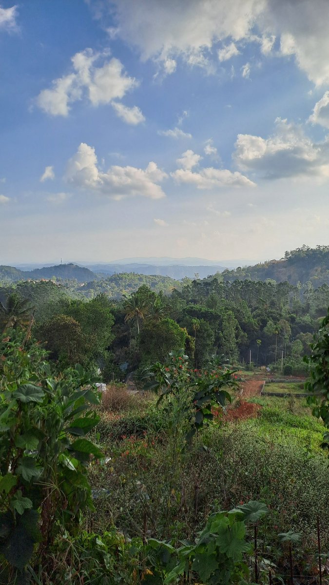 ارض الجمال والطبيعة - كيرلا 🇮🇳 فبراير 2025