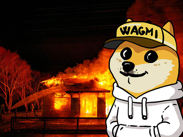 GM Wagmidoge fam! While other crypto burns, Wagmidoge be like 🤣🤣🤣.... Presale is heating up, hurry up and hop on the train before it's too late!!!

#memecoins #wagmidoge #presale