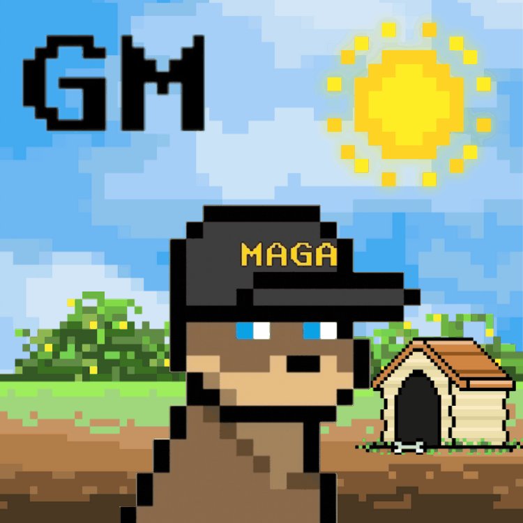 ZenChillie's tweet photo. Gm X

Happy Hump Day! 🐪 https://t.co/b8ZXtdpBgT