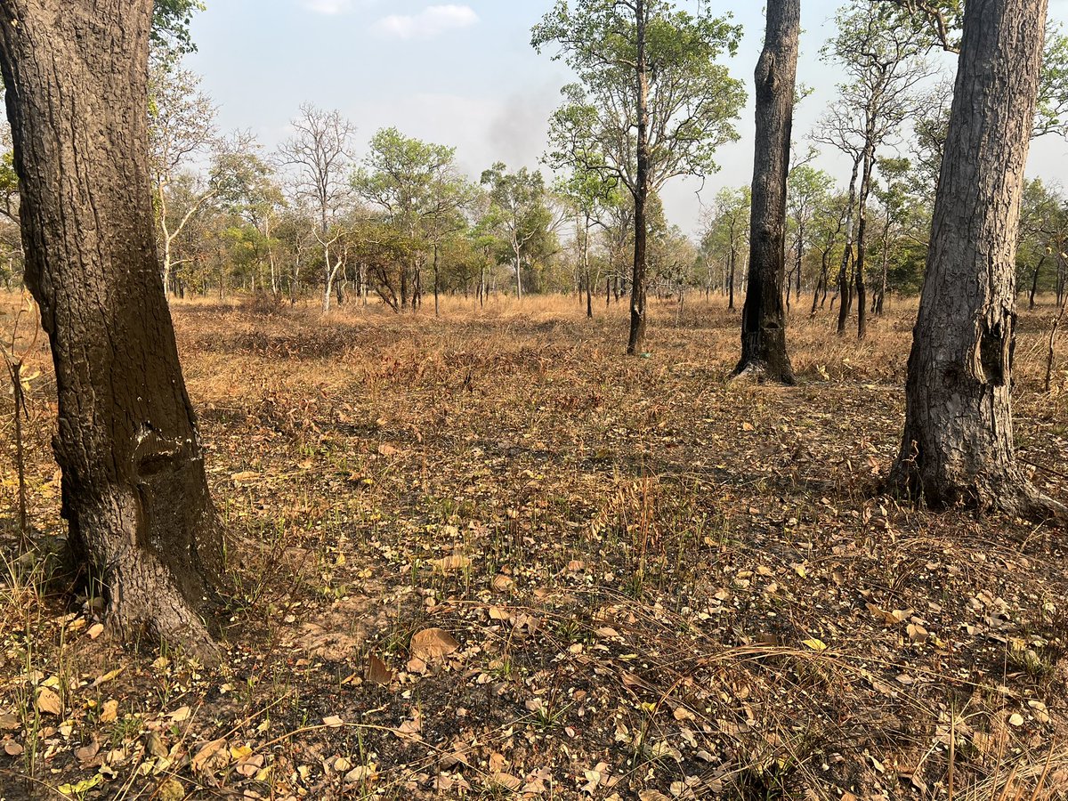 Vivek Menon tweet media