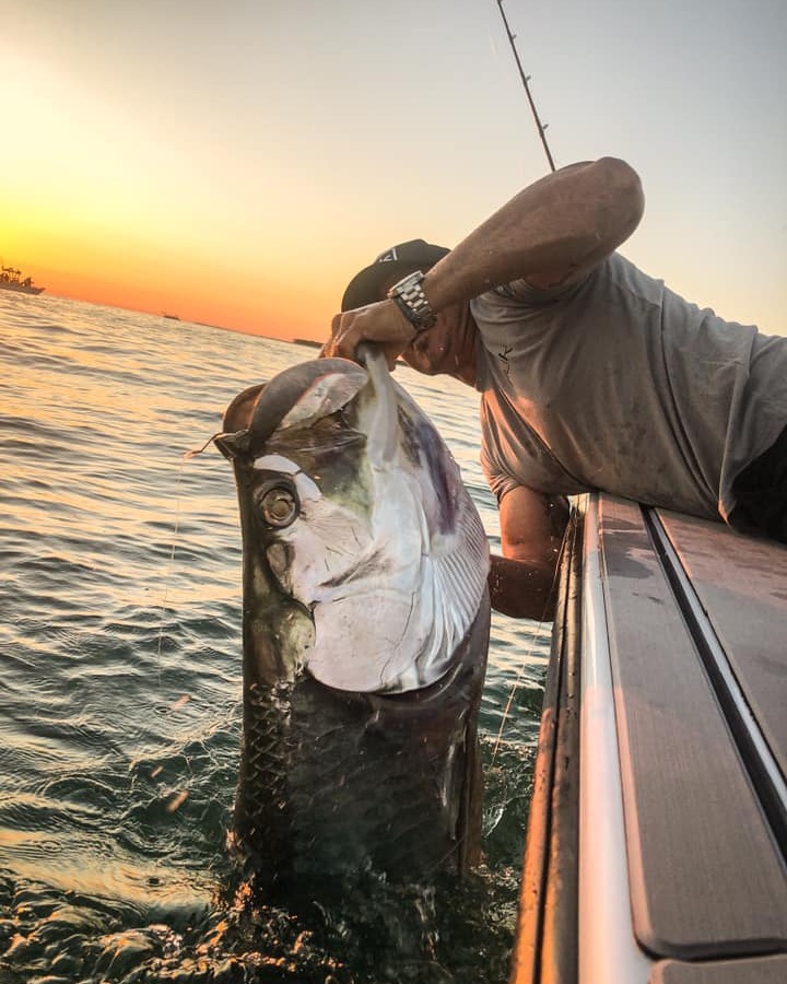 OkumaFishingUSA's tweet photo. Chasing giant Tarpon in the nutrient-rich waters off Florida is the ultimate thrill! Explosive strikes, acrobatic leaps, and pure adrenaline—this is what fishing dreams are made of. Are you ready for the fight?
#FloridaFishing #OkumaFishing #SilverSlayer https://t.co/zcBi48PXEI