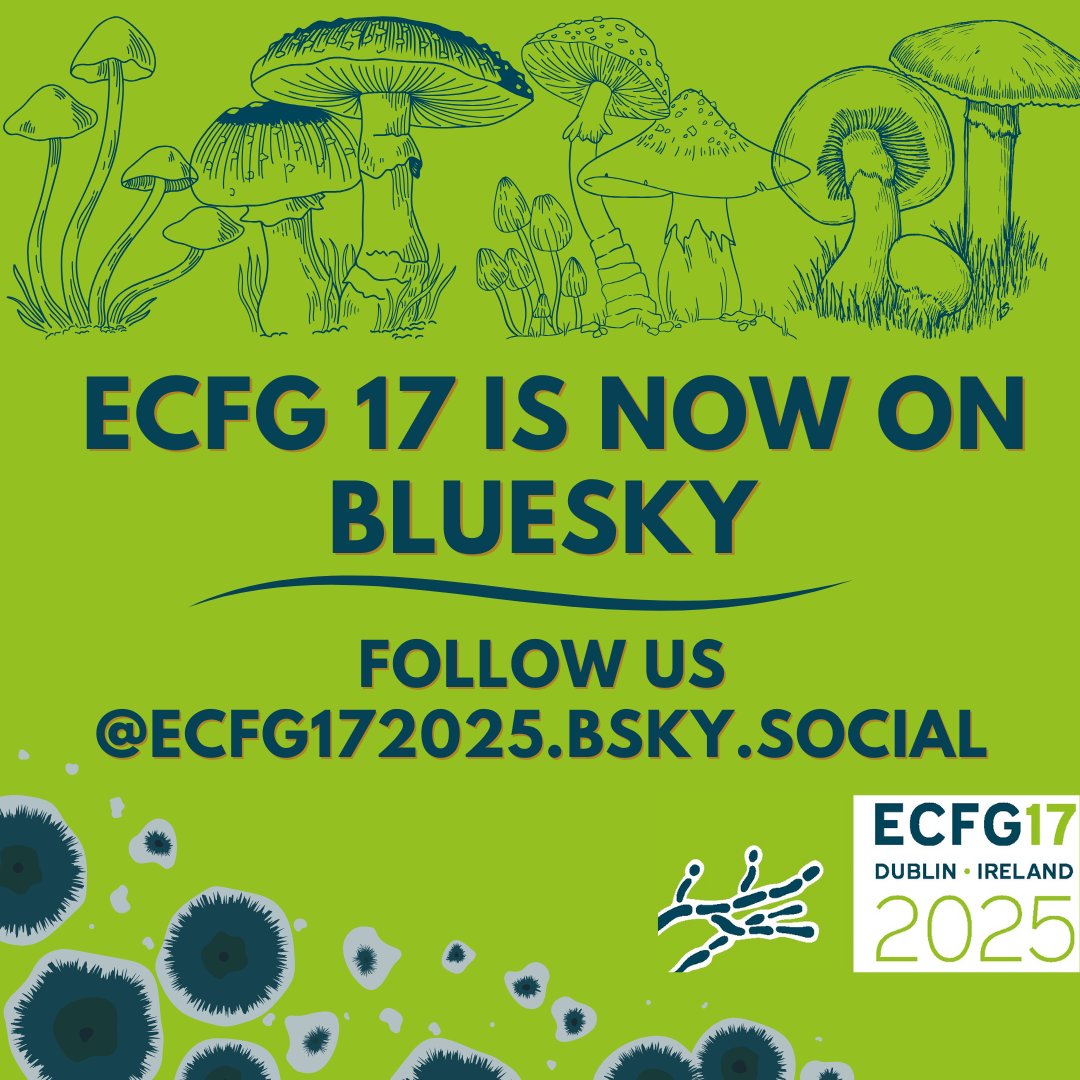 ECFG17Dublin's tweet image. ECFG will now be posting on Bluesky!
Make sure to follow us there:
@ecfg172025.bsky.social
#ECFG17