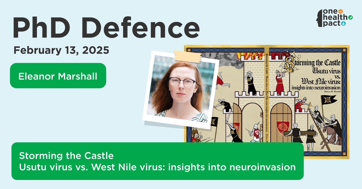 One Health PACT (@onehealthpact) on Twitter photo Promotion time!🦟💧🐦⬛
On 13 February 2025 <a href="/_El_Marshall_/">Eleanor Marshall</a>, one of our PhD’s, will defend her PhD thesis titled: ‘Storming the Castle – Usutu virus vs. West Nile virus: insights into neuroinvasion’ at the <a href="/erasmusuni/">Erasmus University</a>
Attend online at 13.00 via: bit.ly/4gyrYNv
#onehealth Promotion time!🦟💧🐦⬛
On 13 February 2025 <a href="/_El_Marshall_/">Eleanor Marshall</a>, one of our PhD’s, will defend her PhD thesis titled: ‘Storming the Castle – Usutu virus vs. West Nile virus: insights into neuroinvasion’ at the <a href="/erasmusuni/">Erasmus University</a>
Attend online at 13.00 via: bit.ly/4gyrYNv
#onehealth