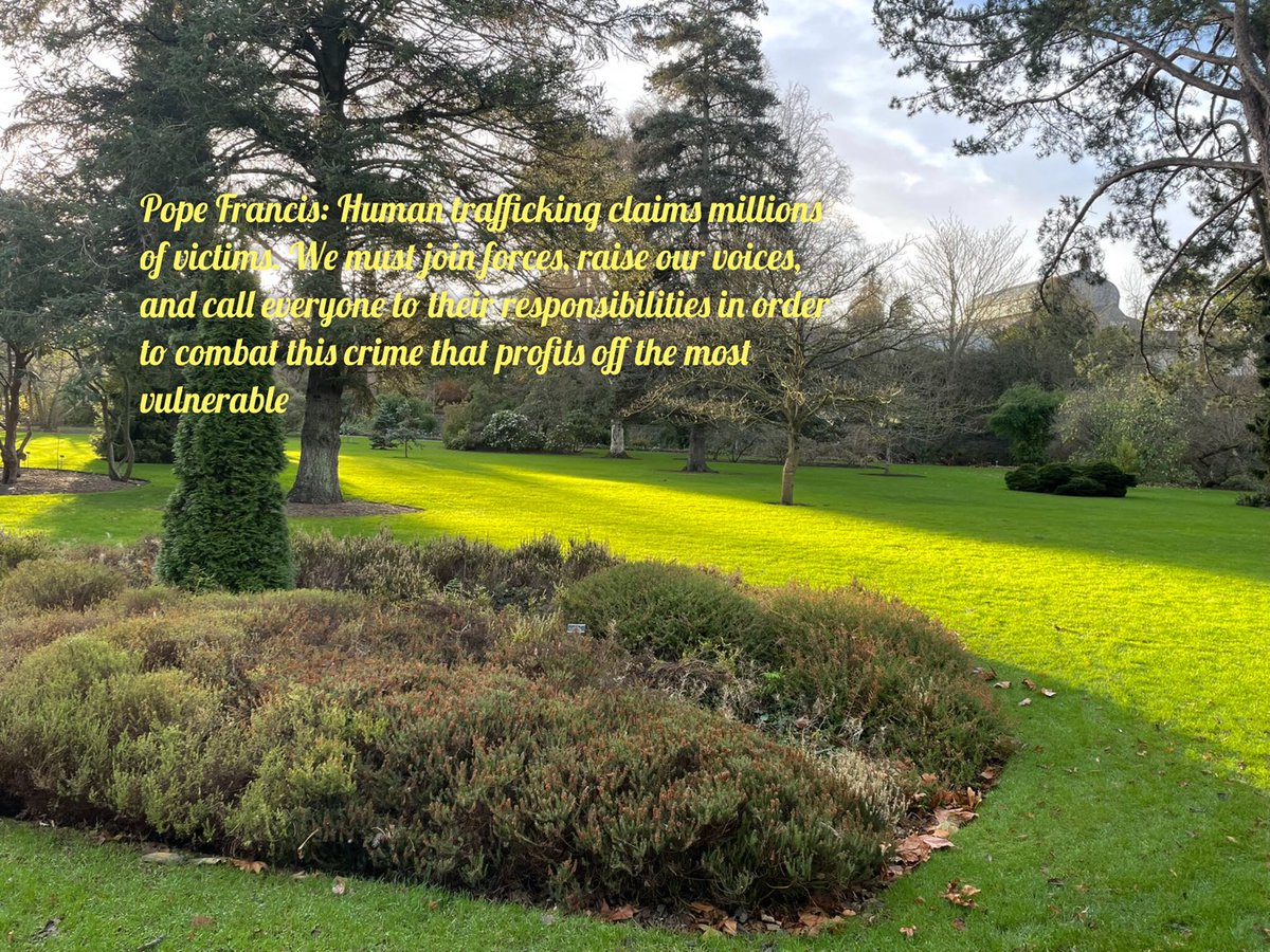 13th February - Pope Francis: Human trafficking claims millions of victims. We must join forces, raise our voices, and call everyone to their responsibilities in order to combat this crime that profits off the most vulnerable