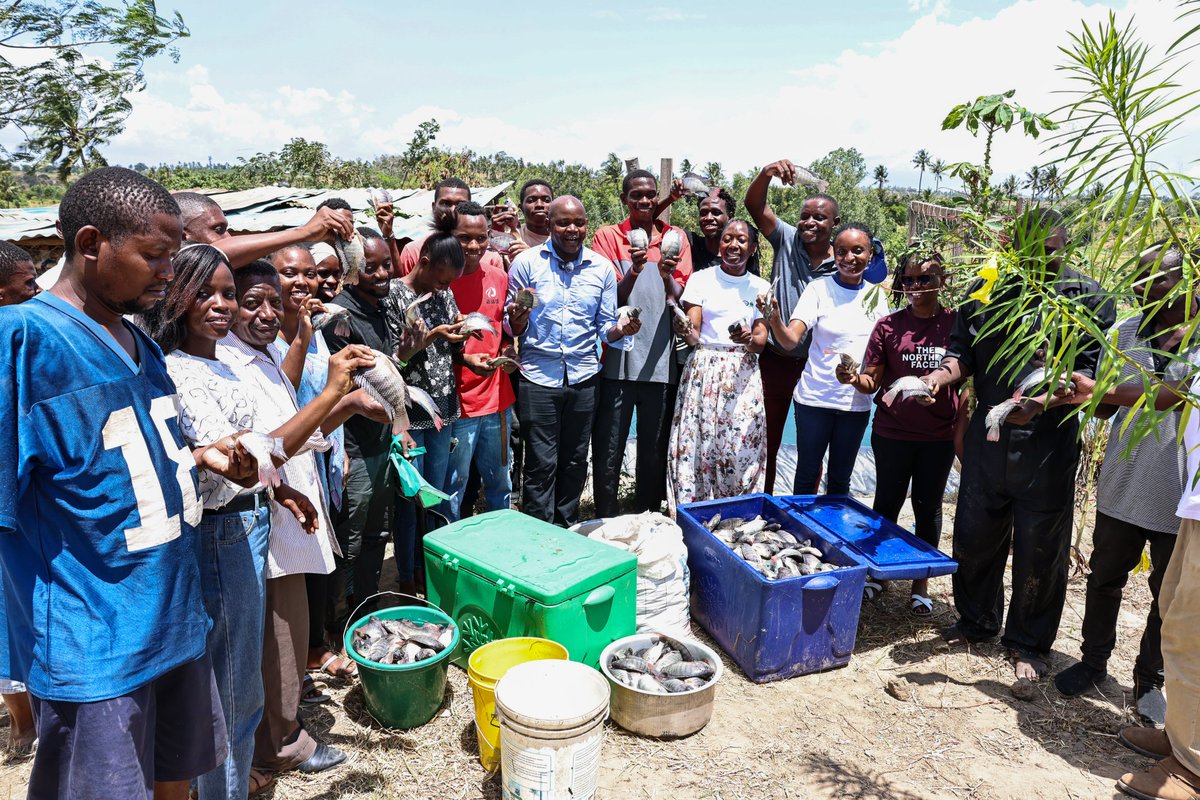 KilifiCountyGov's tweet photo. Congratulations to the Chuga Chuga Self Help Group in Rabai Kisurutini Ward for the successful harvest of 208 kilograms of Tilapia from one of the two newly established fish ponds. https://t.co/pQnyj24igh
