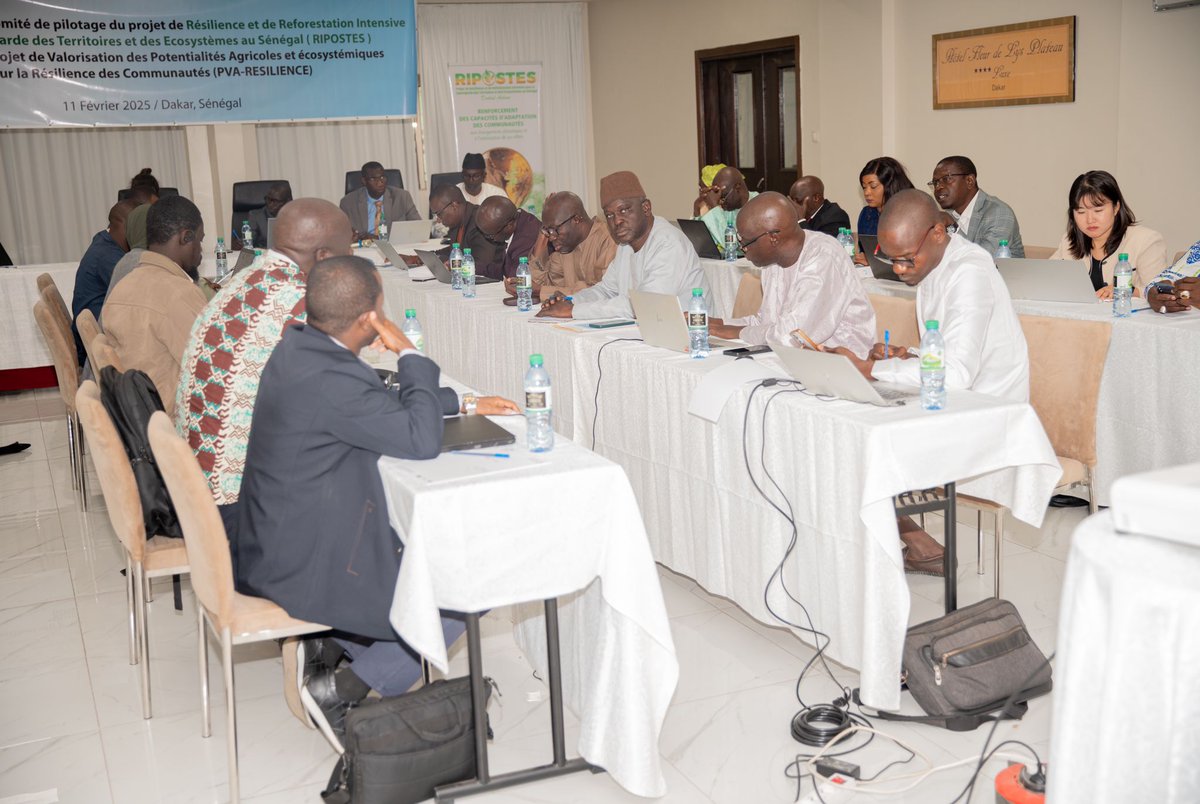 FAOSenegal's tweet image. 📢 #Happening| 📍Dakar | 🗓️ 11 fév.
Lancement du projet PVA-RESILIENCE 🌱 en partenariat avec @IrlEmbDakar, @asergmv lors de la 4ème Rencontre du comité de pilotage du projet #RIPOSTES
🎯 Objectif : Renforcer la résilience des communautés face aux changements climatiques🌍💧