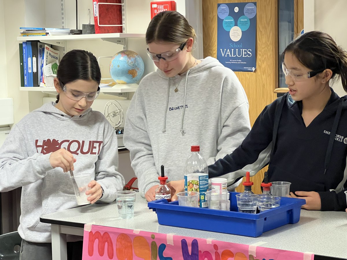 SG_STEM's tweet image. Year 7 &amp;amp; 8 took on the EUREKA! Science Challenge with mind-blowing experiments—Coke &amp;amp; Mentos explosions, fiery tea bags, oobleck madness! 🧪🔥

Even more special? We celebrated on the #InternationalDayOfWomenAndGirlsInScience—inspiring the next generation of scientists! 👩‍🔬🚀✨