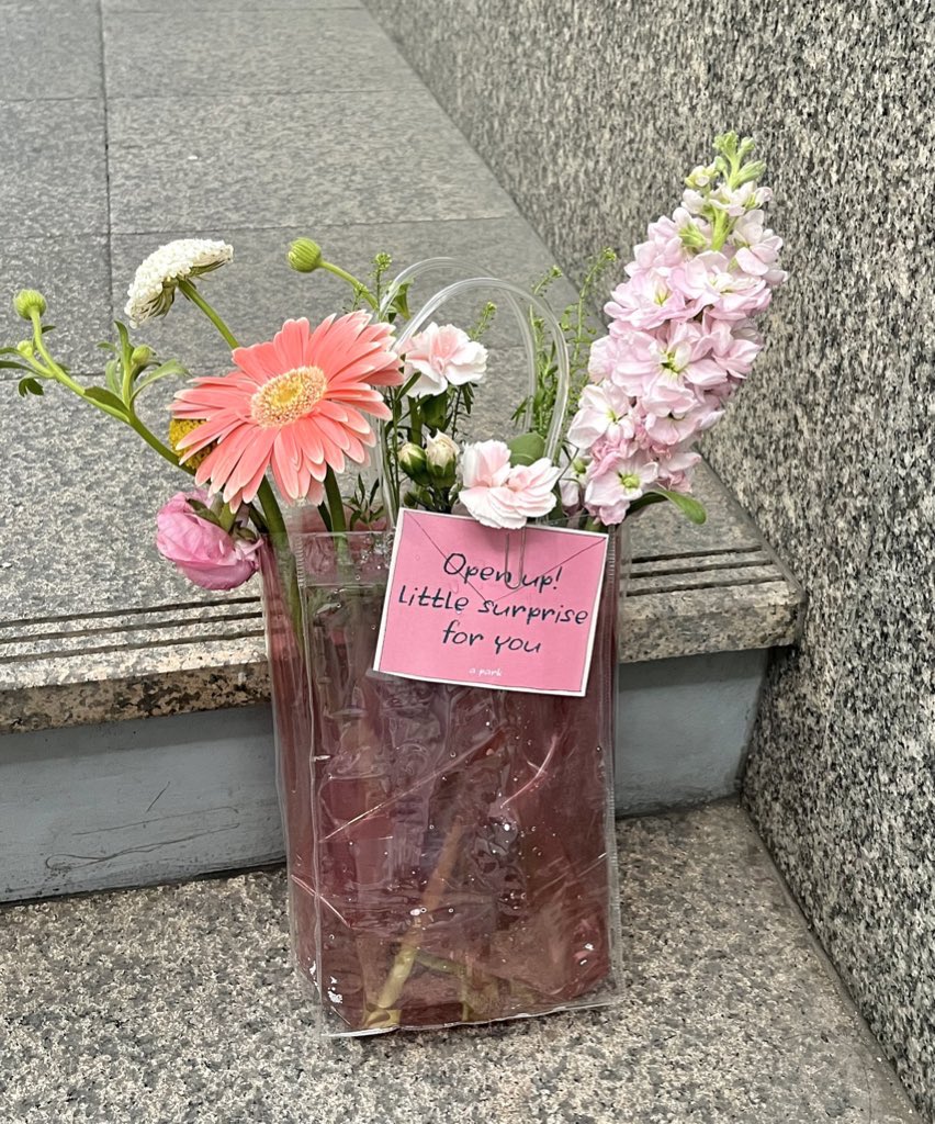daisy bloom tweet media