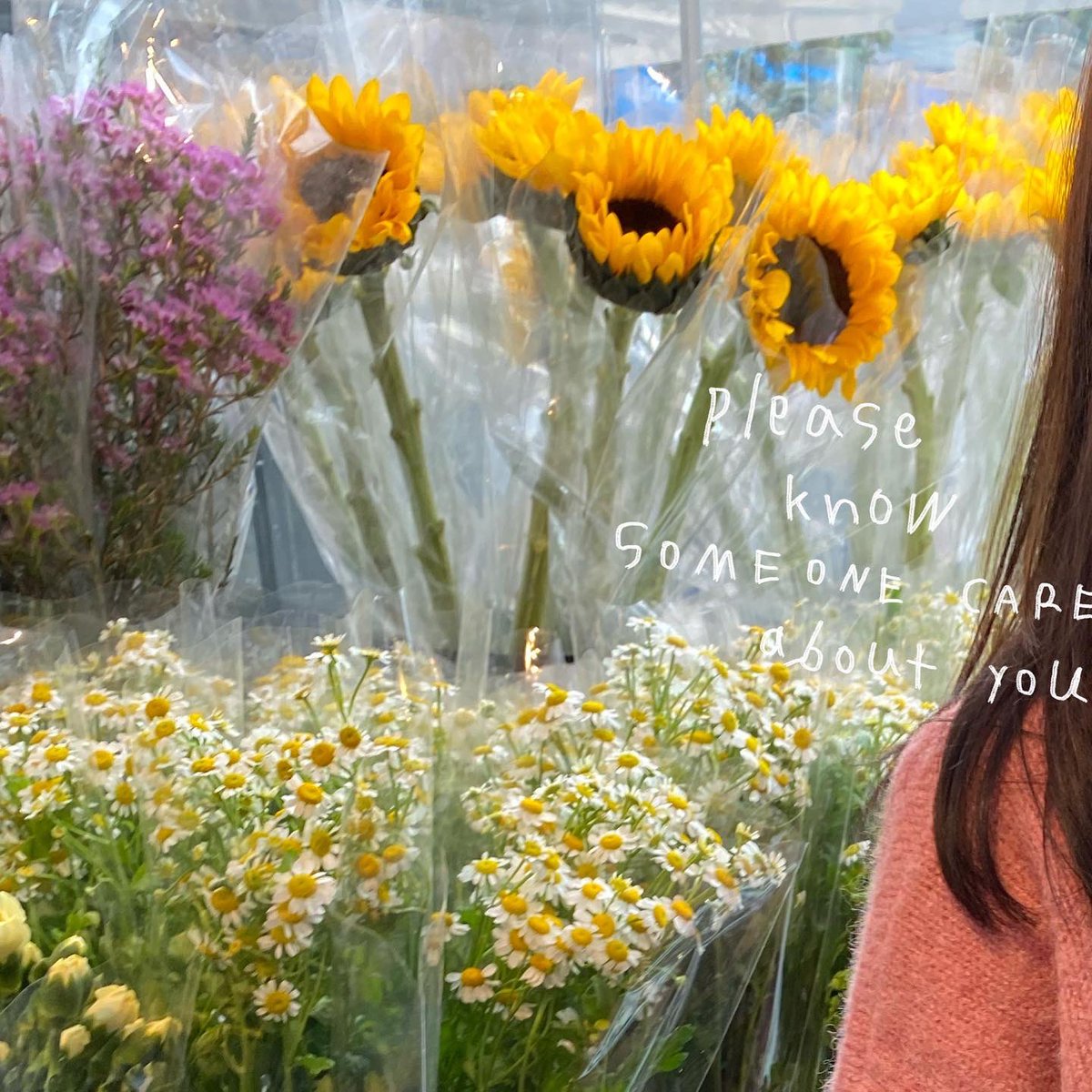 daisy bloom tweet media