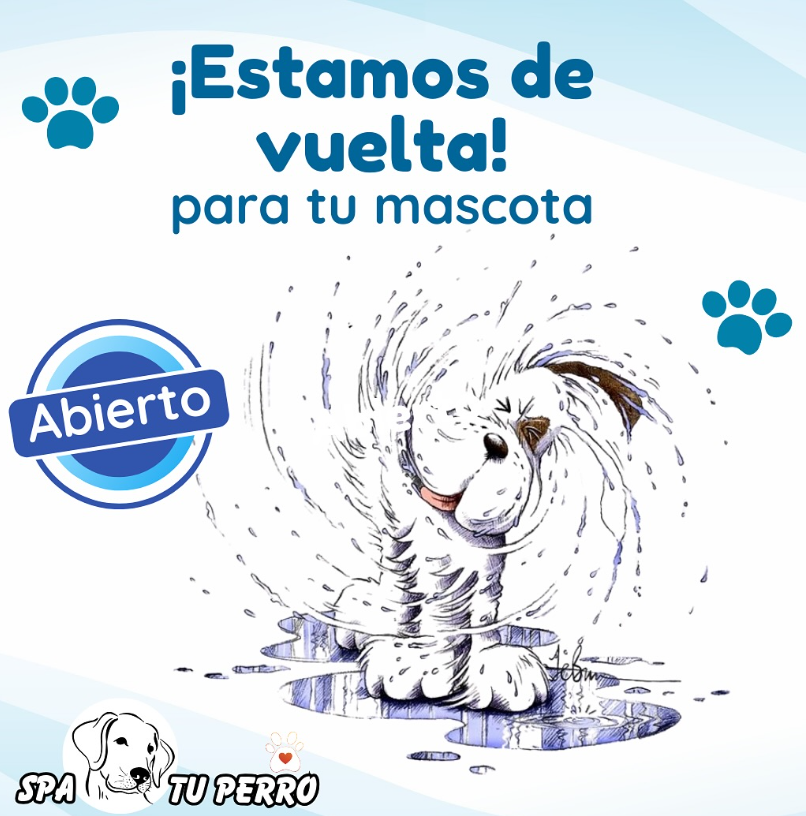 Spatuperro's tweet photo. 🌿 ¿Sabías que el masaje puede ayudar a reducir el estrés en tu mascota? Ven y descubre nuestros tratamientos especiales. 🐱✨ https://t.co/RkxruFQWPi