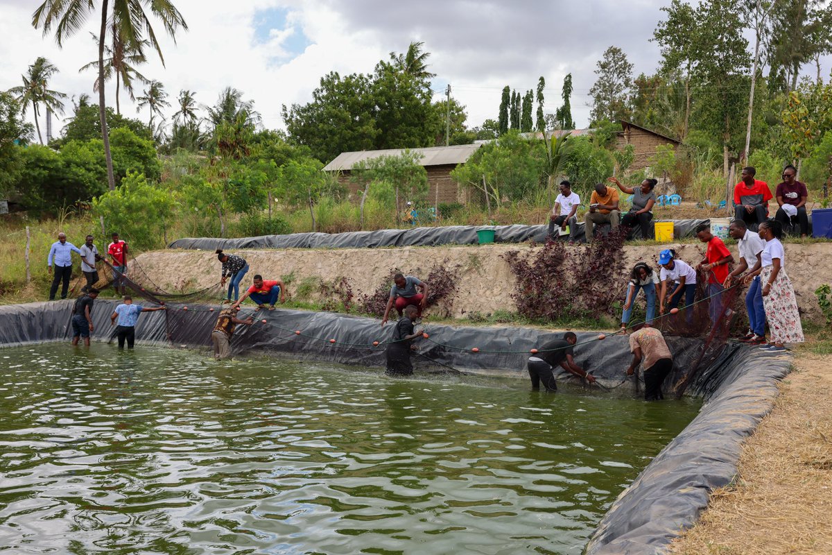 KilifiCountyGov's tweet photo. This accomplishment demonstrates the Kilifi County Government's dedication to promoting the sustainable management and development of fisheries within the Blue Economy framework and the fishing value chain. https://t.co/42aJJ1QnFo