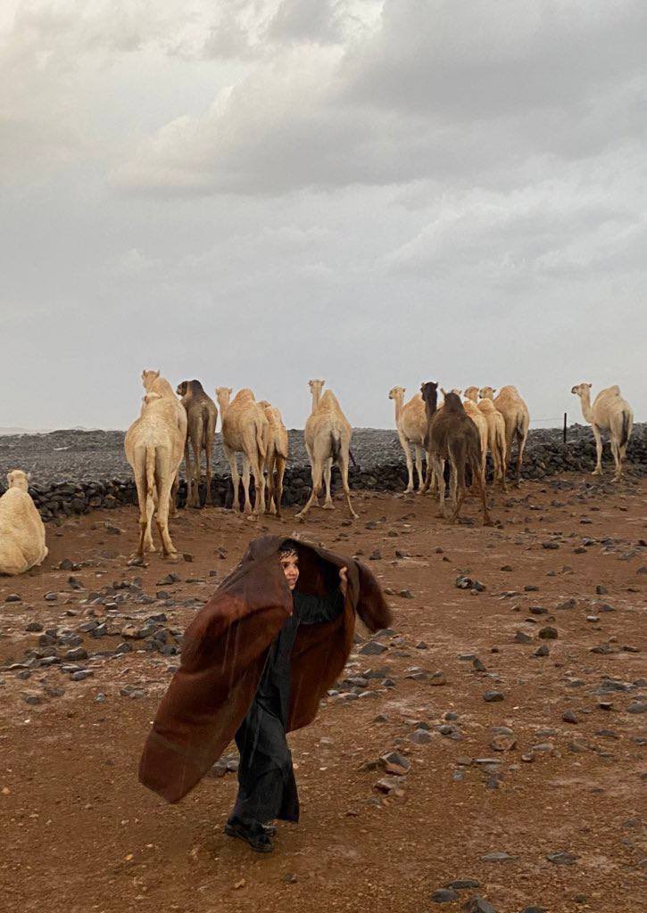 سقى غيثك صحاري قلبي و قلبي بدويّ أطباع 
" يرحب بالمطر حـتى ولو بل المطر ثوبـه "