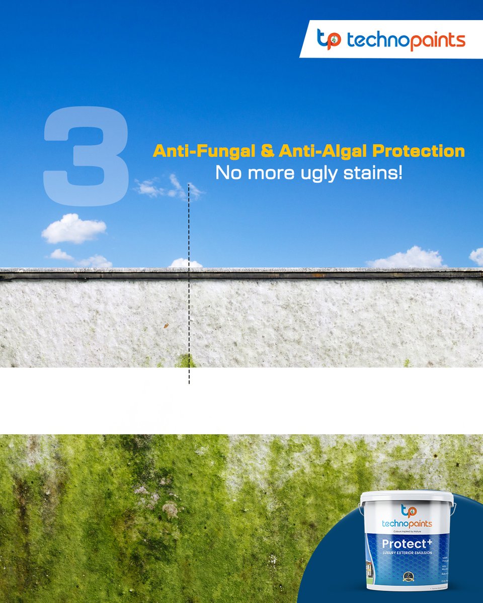 TechnopaintsS's tweet image. Beat the summer heat and keep your walls looking fresh with Protect+ Luxury Exterior Emulsion! 💪

✅ UV Resistant  ✅ Water Repellent  ✅ Anti-Fungal &amp;amp; Anti-Algal Protection  ✅ Superior Durability
#TechnoPaints #ProtectPlus #summer