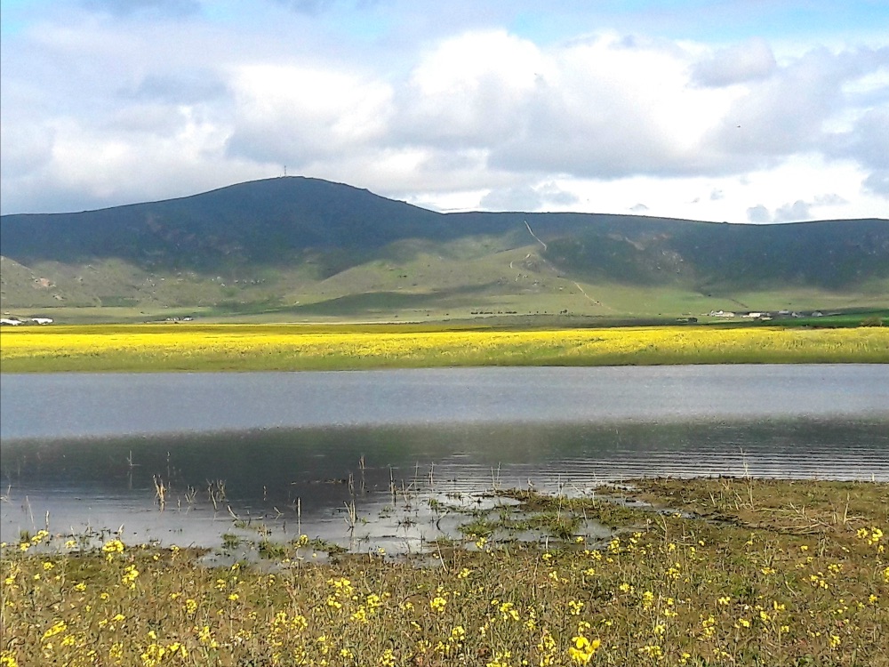 I 💛 Darling Newsletter - mailchi.mp/b105209ff58f/i…

Click on Facebook Page Newsletter tab to subscribe to this weekly newsletter.

PHOTO: @lorijean_husky