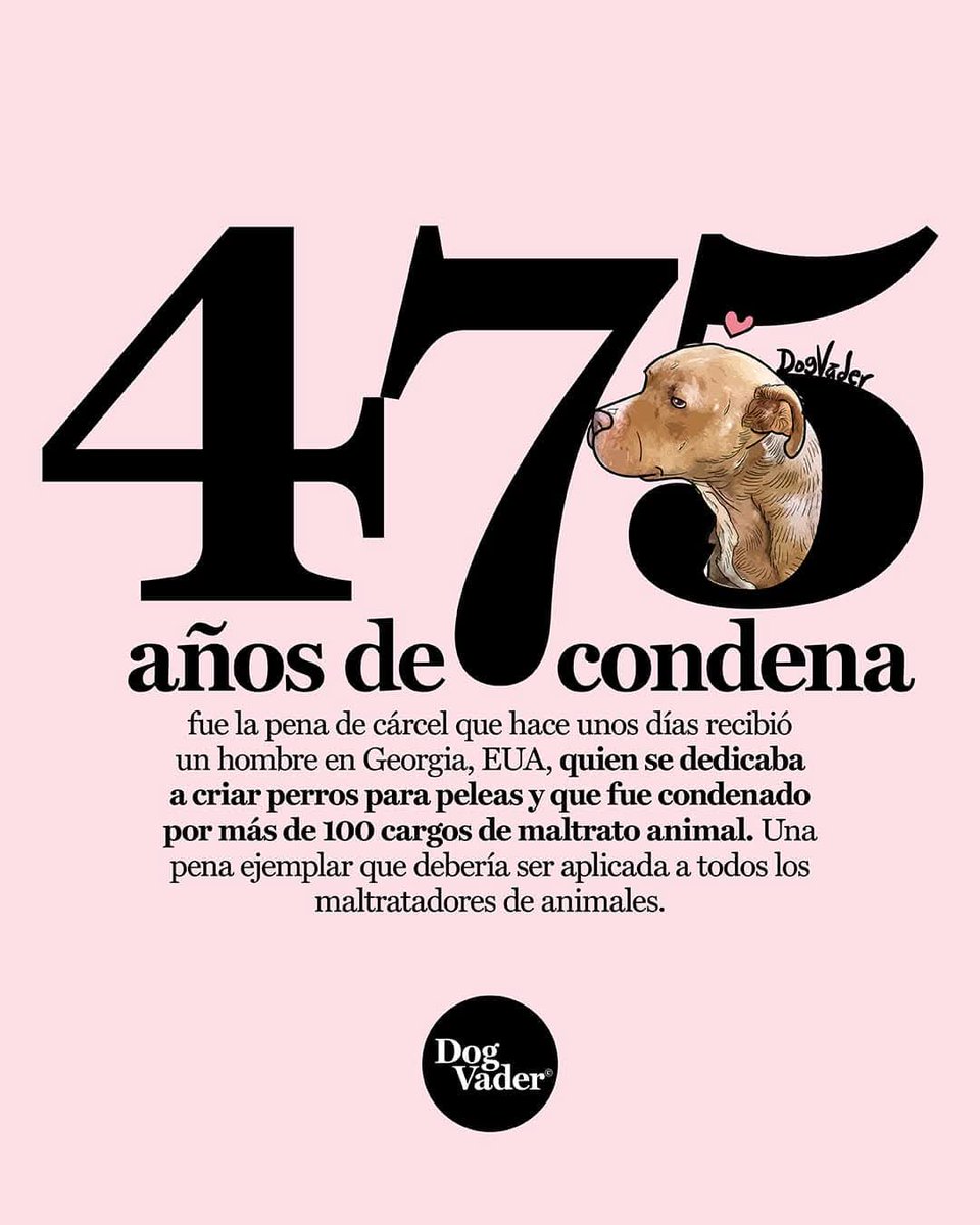 TlacatecolotlMX's tweet image. A darle mi querido #Compi 
@WitoWitowito71 ...! 
#DogVader 

💚🚲🐾💚