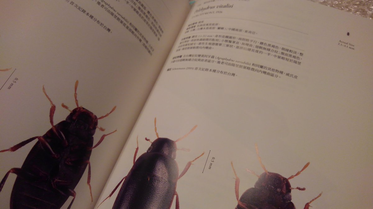 歌集◎昆虫志 歌集◎昆虫志 Hsing-Che Liu (@td965771) / X