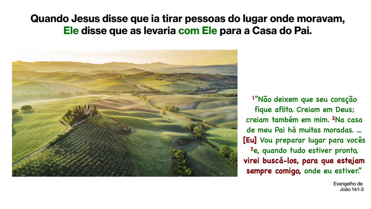 Levi Borrelli (@leviborrelli) on Twitter photo 