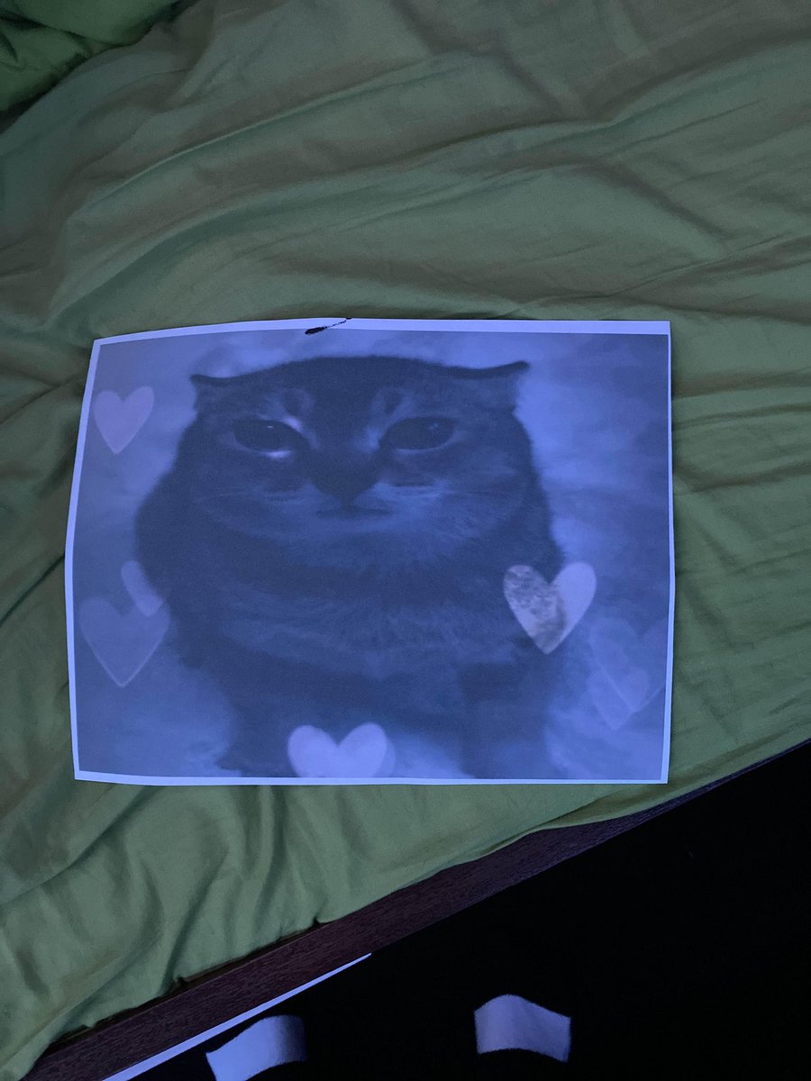 Dre (@d_re_ee) on Twitter photo 