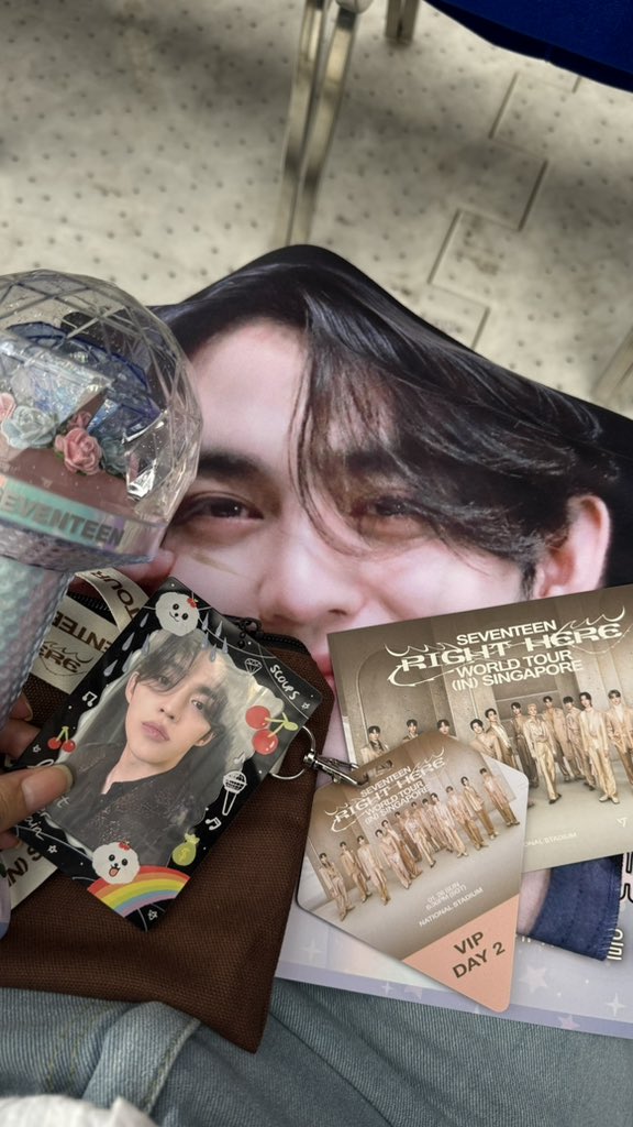 bearrycherry's tweet photo. Till we meet again🥹🩷🩵 @pledis_17 https://t.co/I7l1sLaNVn