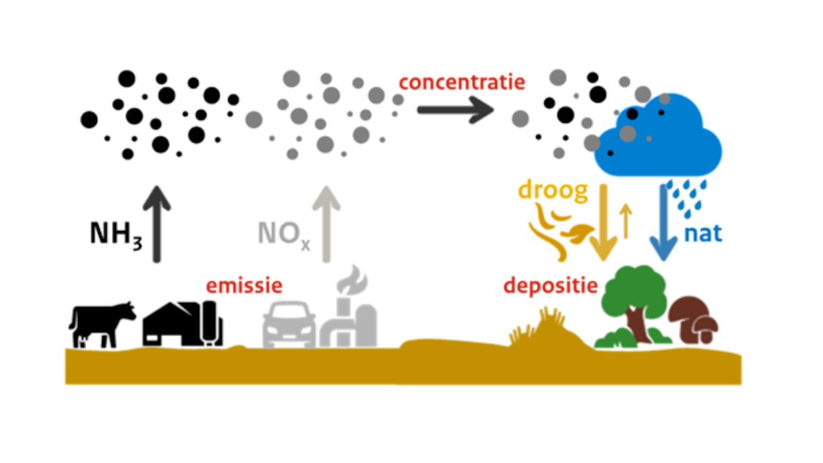Stikstof is hét maatschappelijke thema dat impact heeft en daarnaast zijn milieuvraagstukken misschien wel actueler dan ooit. Ben jij iemand die impact wil maken in het leveren van een maatschappelijke bijdrage?

aabnl.nl/nl/werken-bij/…

afb: Natuurmonumenten