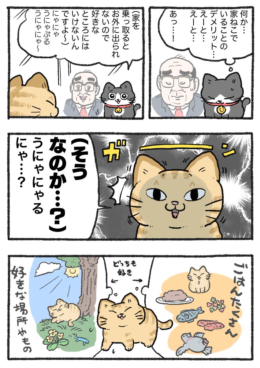ねこに転生したおじさん。その651