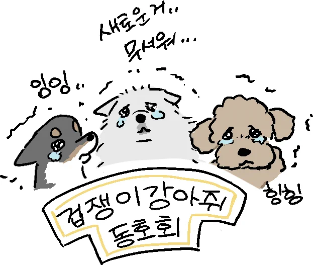 탐라에서 얘기나온... 겁쟁이 강아지 모임 