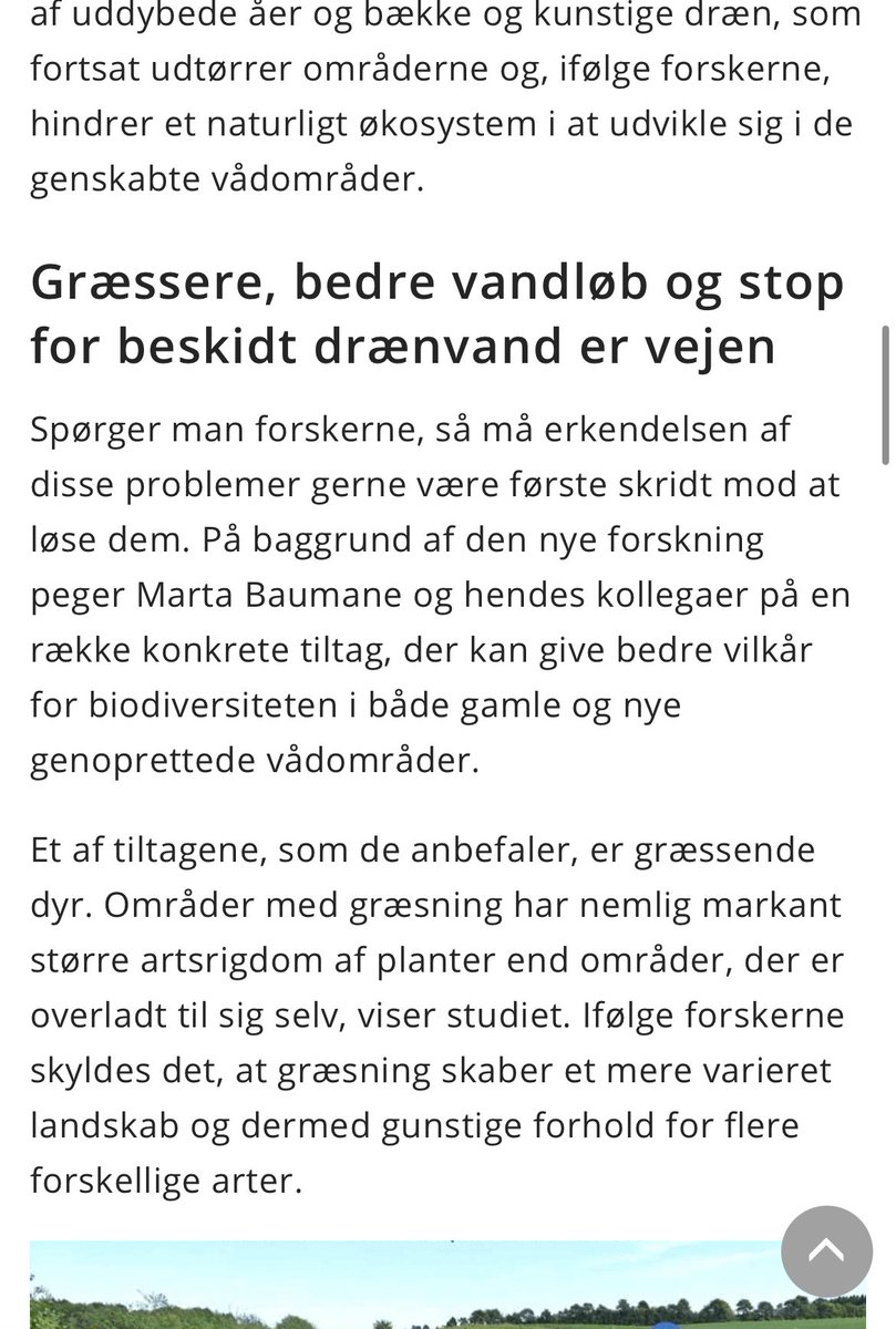 Dette studie er super vigtigt for alle, der arbejder med grøn trepart. 

Vi skal løse flere problemer samtidigt: Kvælstof, klima og biodiversitet. 

Derfor skal biodiversitet ind i udtagningsordningerne, så vi løser flere på problemet på én gang. 

science.ku.dk/presse/nyheder…
