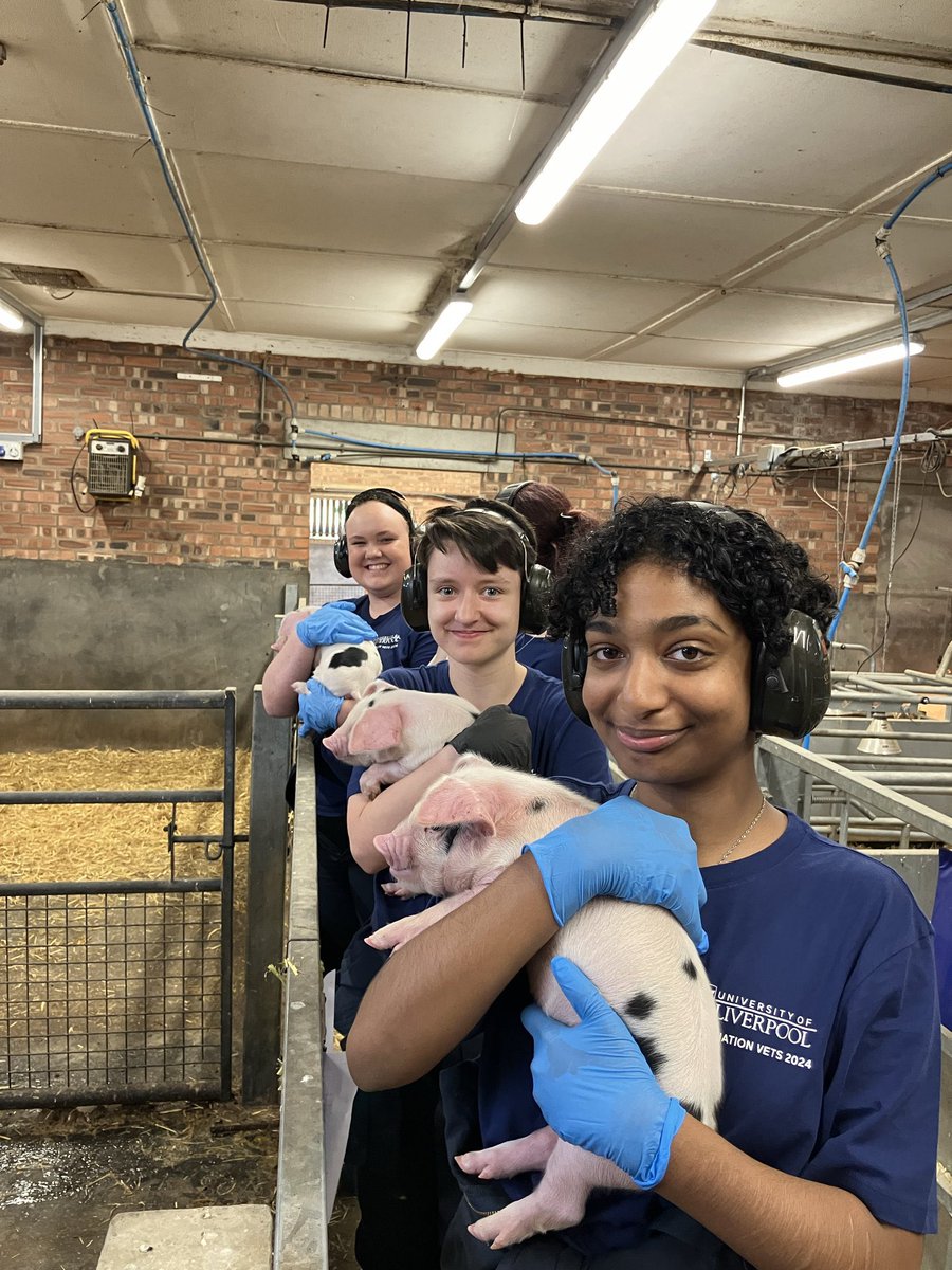 Destination Vets is now open for applications!

🐶 Apply online: app.geckoform.com/public/#/moder…
🐱 Deadline is 9am, 9th May!