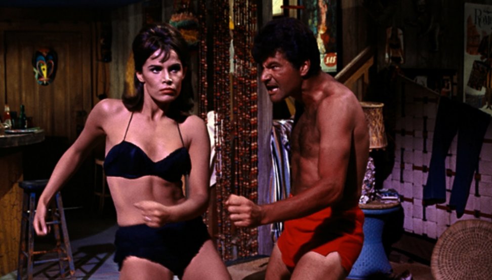 Pulp Librarian tweet media