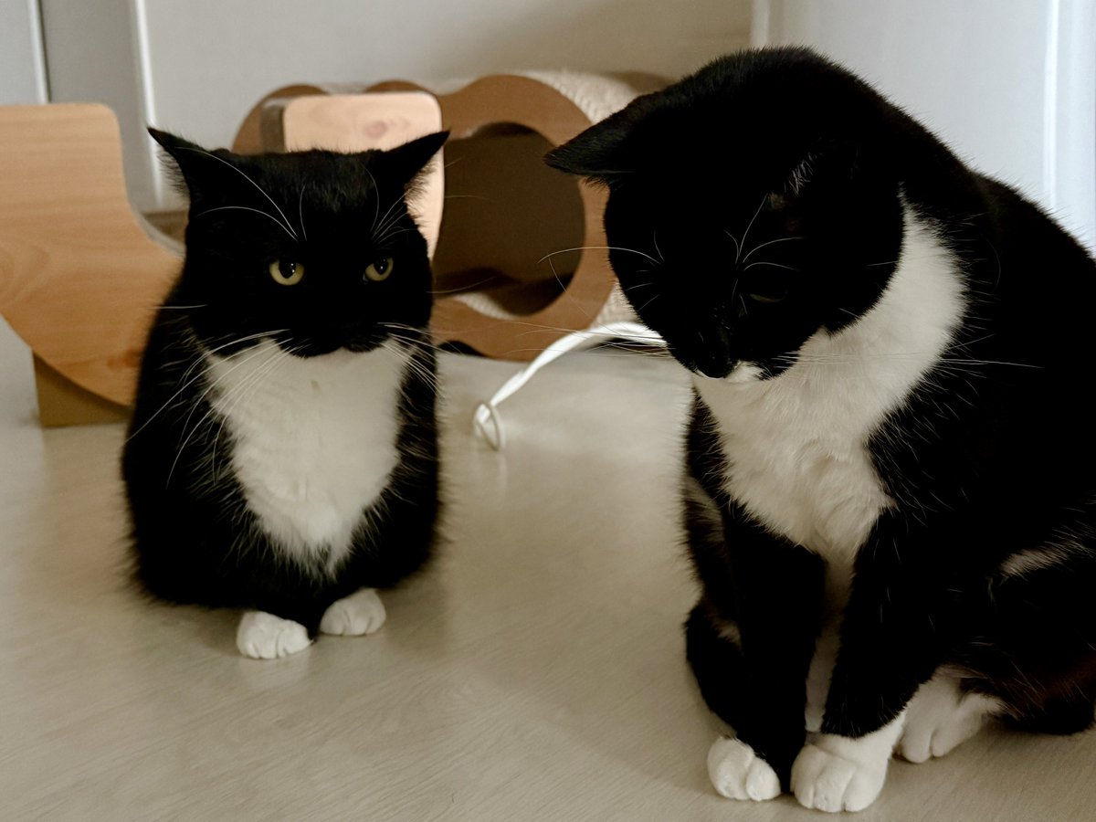 "Yoru…Cheer up, don't cry"

よる…元気出してね