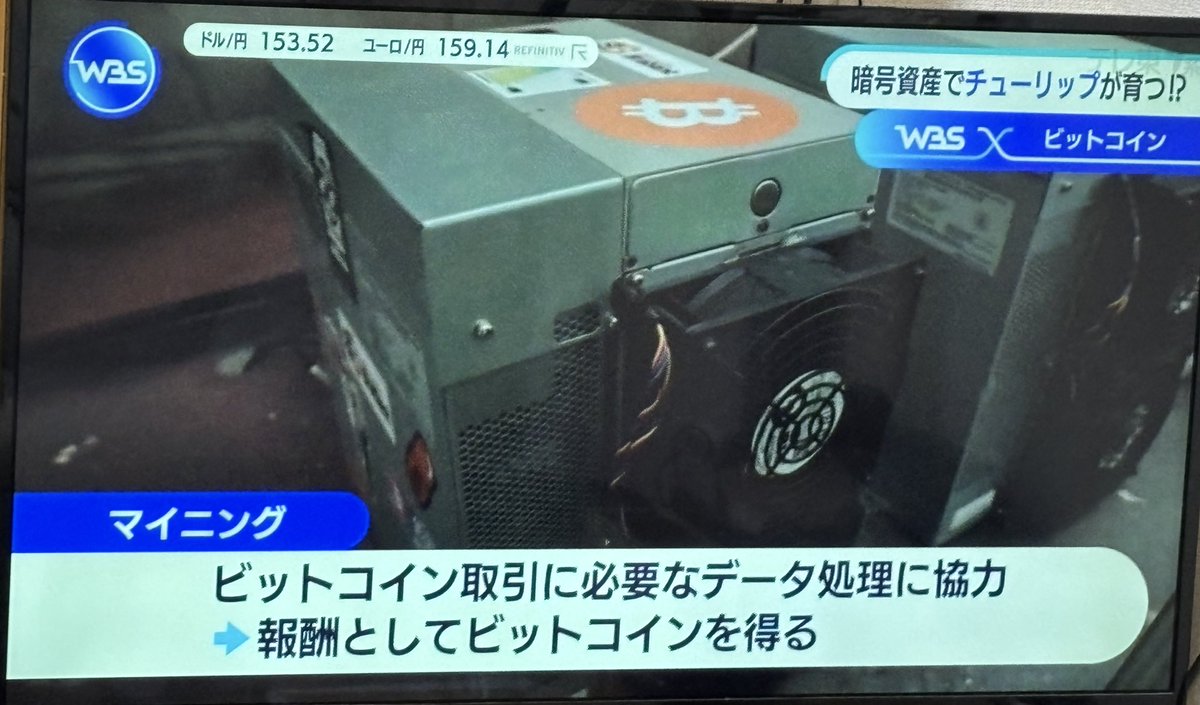 ビットコインのマイニングの排熱でチューリップ育ててるの面白いっすね🤣 #WBS