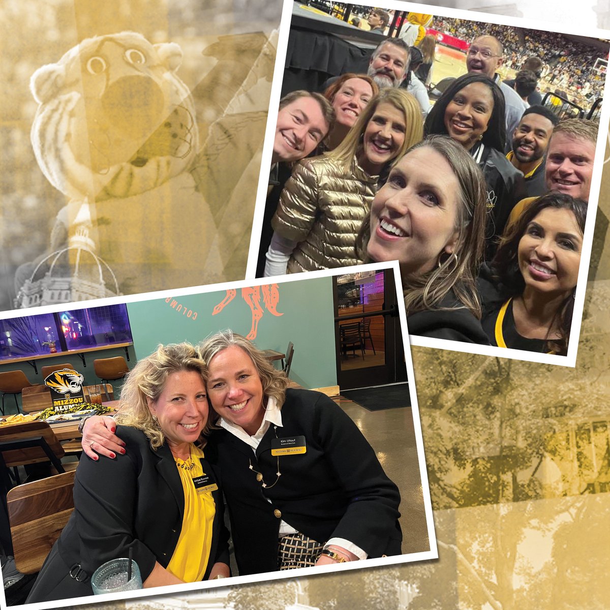 Last call! Applications for the 2025 MAA Board of Directors will close next Wednesday, February 19. Don't miss out on the chance to Make Mizzou Stronger with your volunteer leadership: mizzou.com/BoardofDirecto…