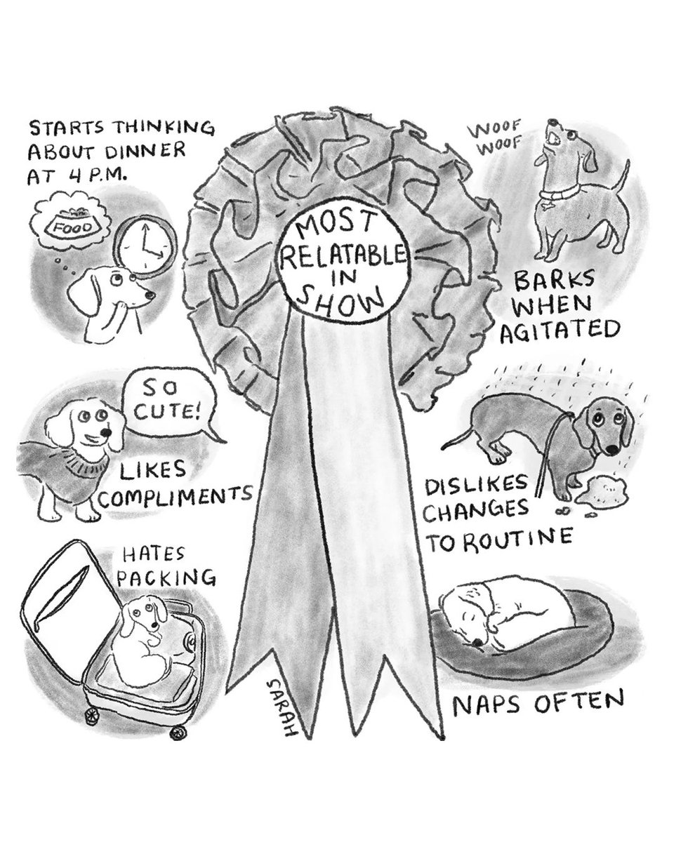 The New Yorker tweet media