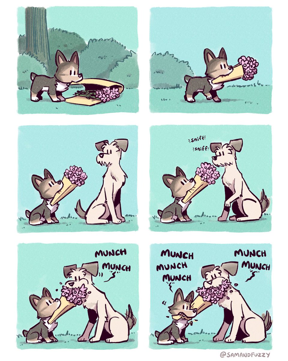 Everyone likes flowers