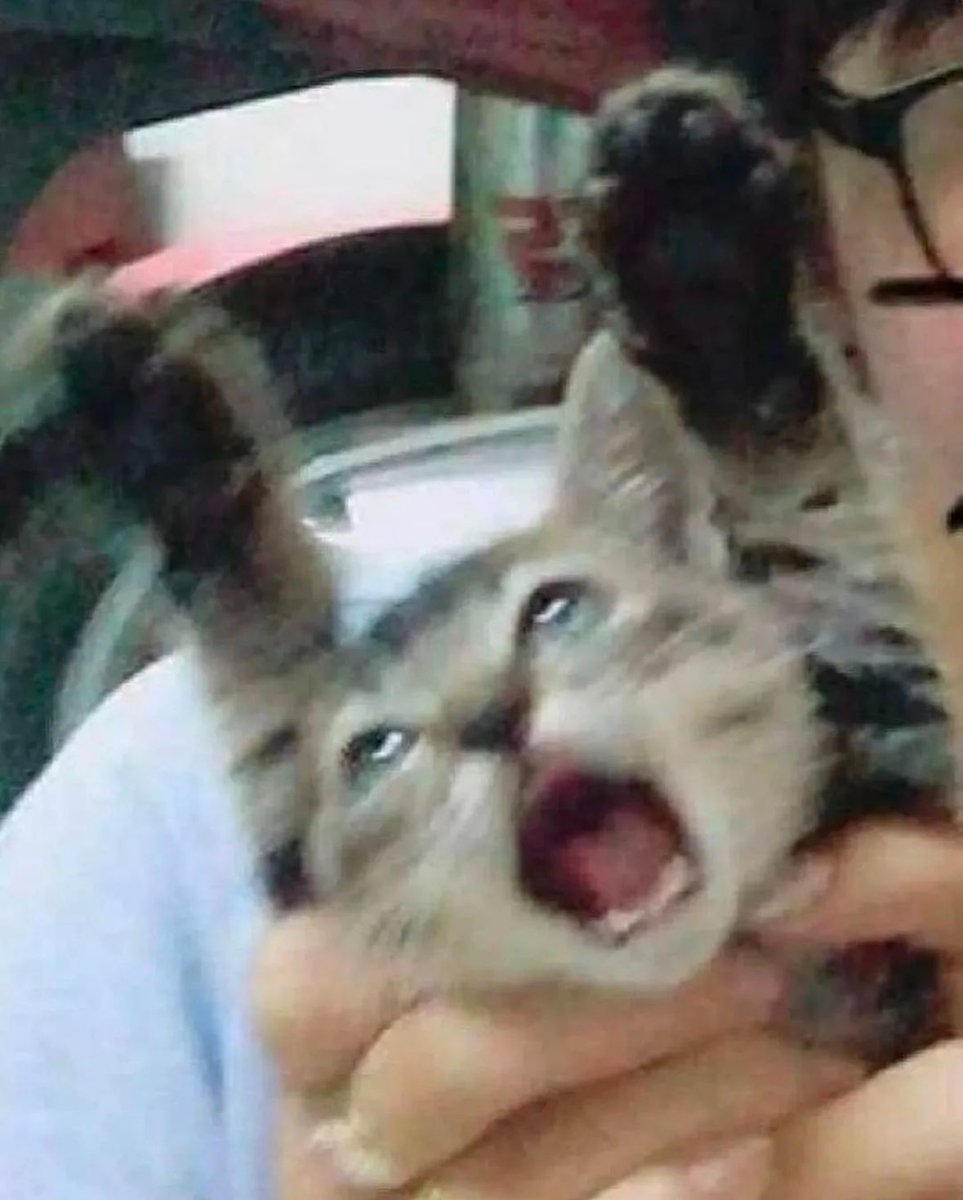 𝓛𝓸𝓷𝓼𝓸 tweet media