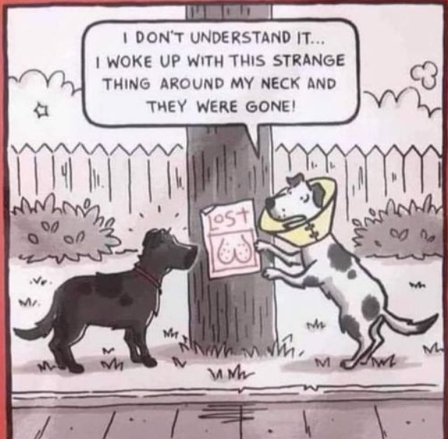 Time to click, y'all! I get .35 for each click of the link below - just let the Best Buy page load and close it out. Easy peasy! I get 700 clicks this week so please share! Every cent buys food and shelters for community cats here in NJ!
trk.shophermedia.net/click.track?CI…