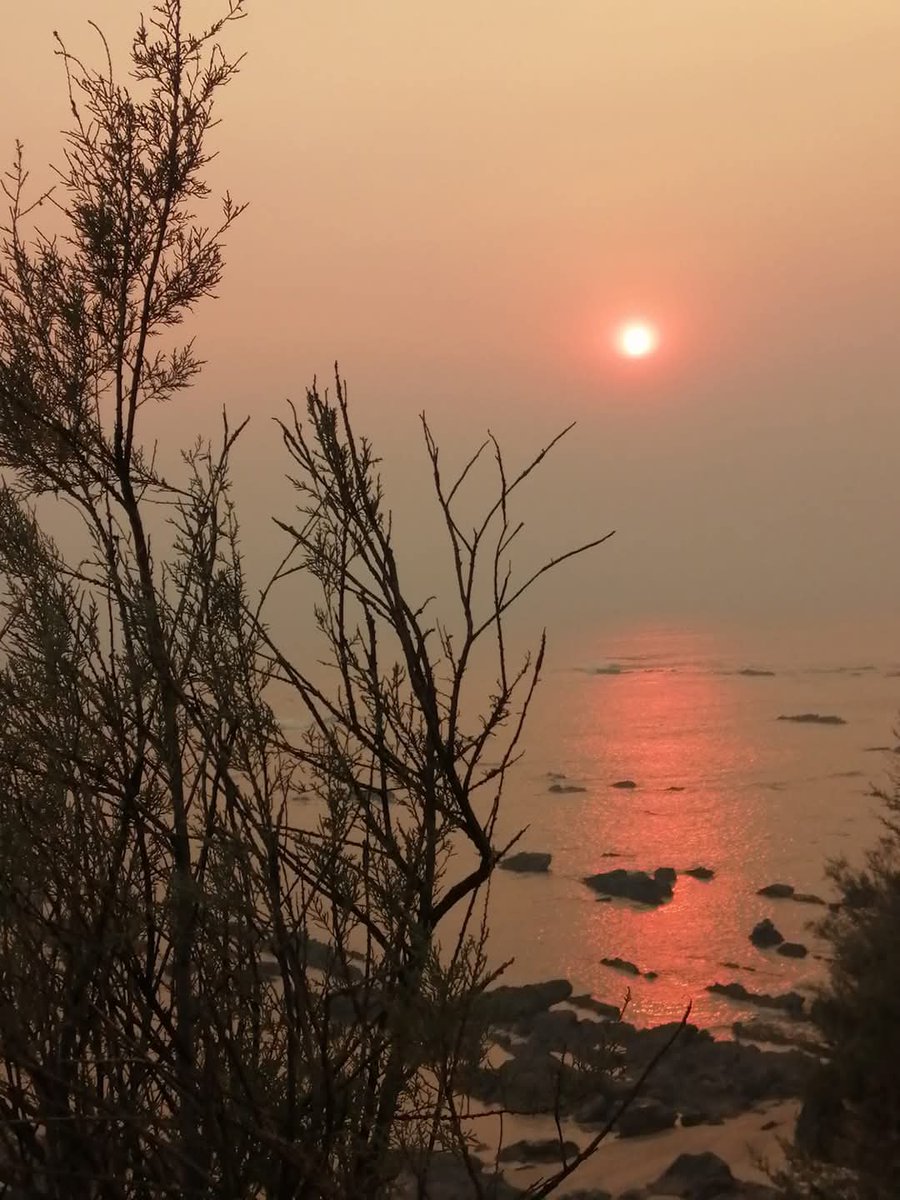 Have a peaceful evening 🤎

my 📸