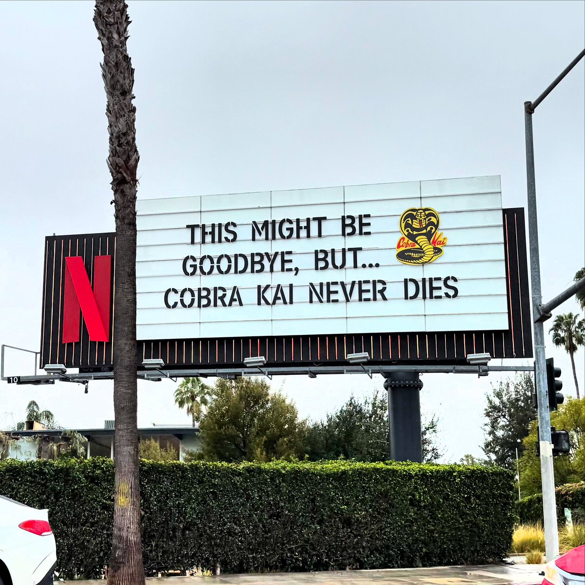 Cobra Kai Never Dies! Final episodes air tonight at Midnight (PST)! #CobraKai #Netflix