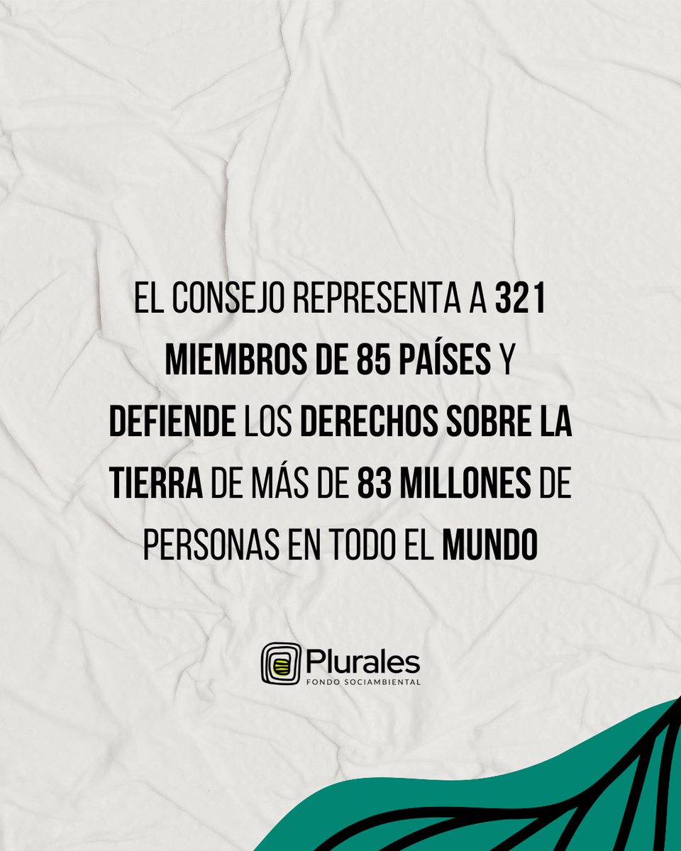 Plurales_org's tweet photo. Tiene 16 miembros y la composición está basada en consideraciones de equilibrio geográfico y conocimientos especializados.✊🏼

Seguimos trabajando por los derechos de la tierra y amplificando las voces de los territorios.‼️ https://t.co/1ZkAEFzKGj