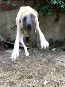 Ticker geldiği an böyle dalıyoruz