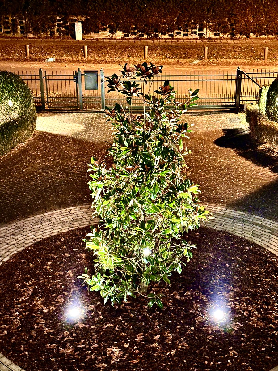 Dr. Ulf Th Zierau tweet media